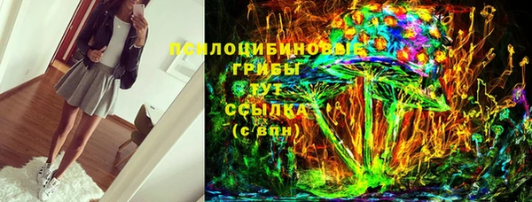 сатива Балахна