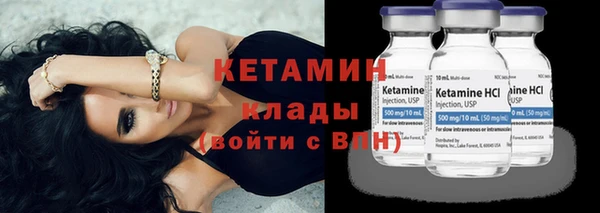 сатива Балахна