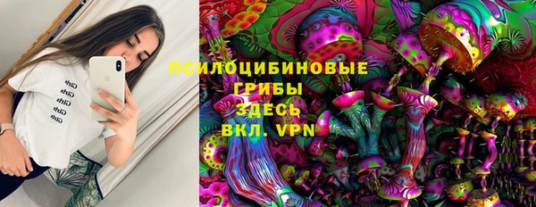 сатива Балахна