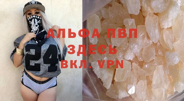 сатива Балахна