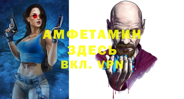 сатива Балахна