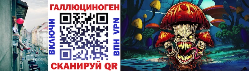 купить наркотик  Ленинск  Галлюциногенные грибы Psilocybe 